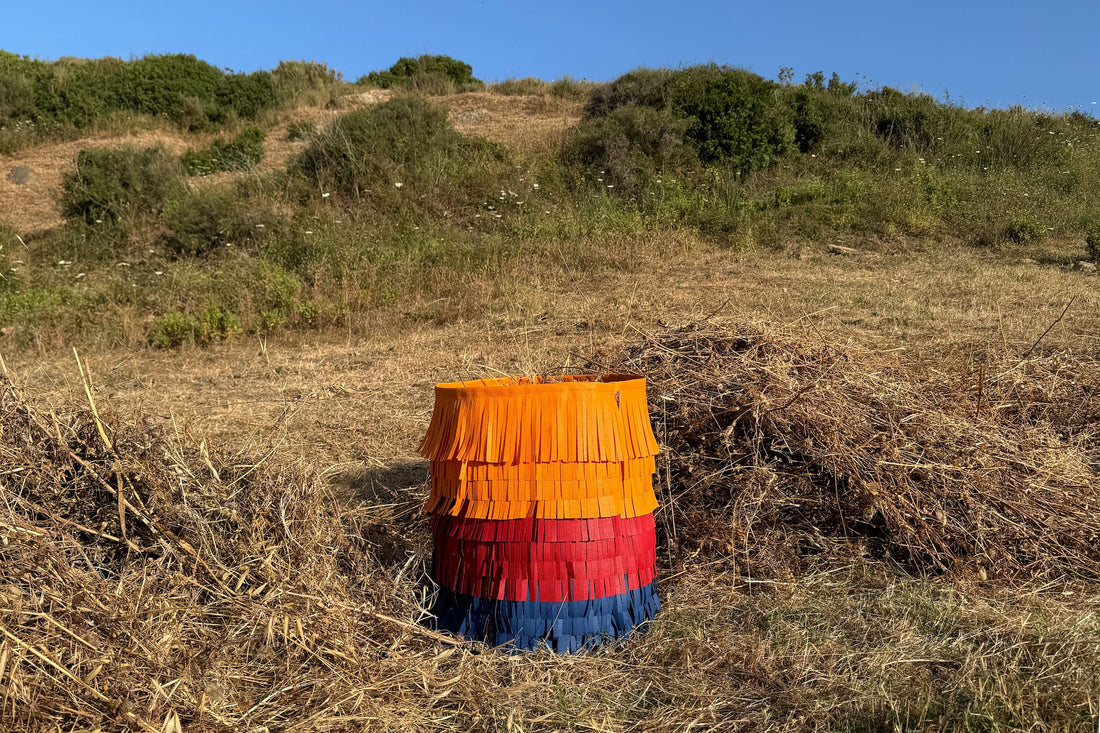 Matapalo: revolutionizing plant pots with design and sustainability